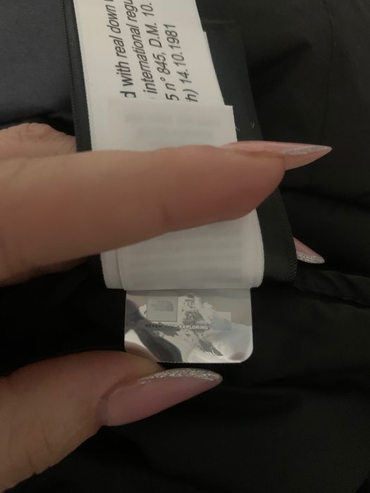 Geaca the north face