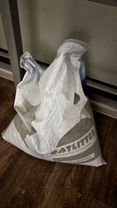 Отдаю ласкового котенка