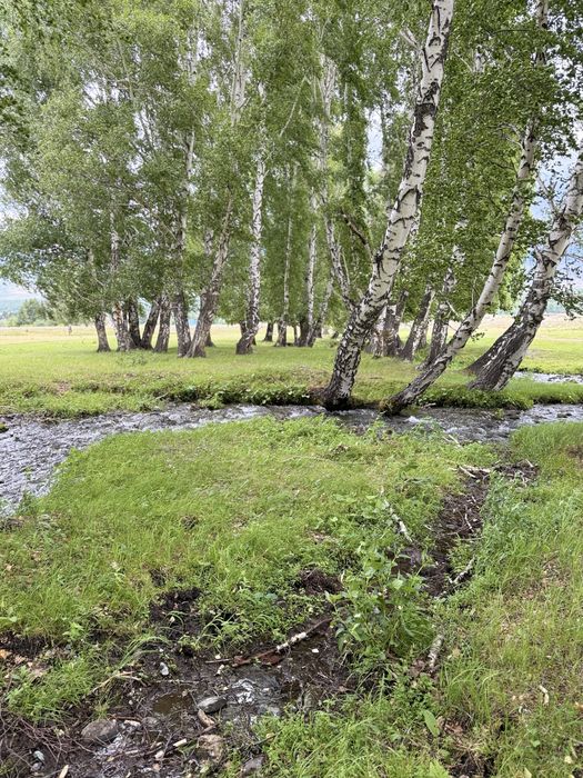 10 га жер учаскесі демалыс орыны