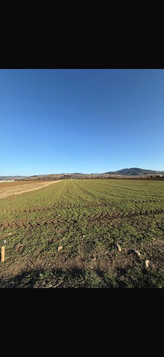 Teren intravilan