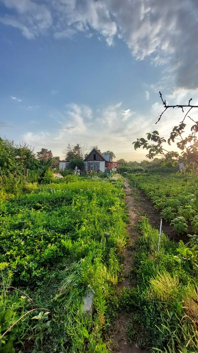 Продам дачу сад Здоровье