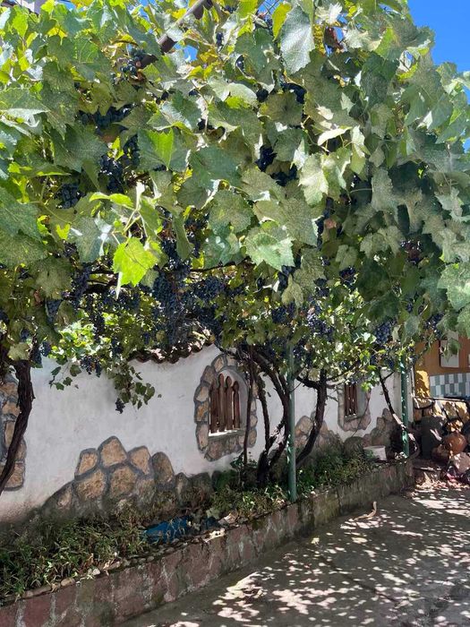 Продава се Къща в с. Писарово, Област Плевен - 150 кв.м за 238 €/кв.м - Снимка #12