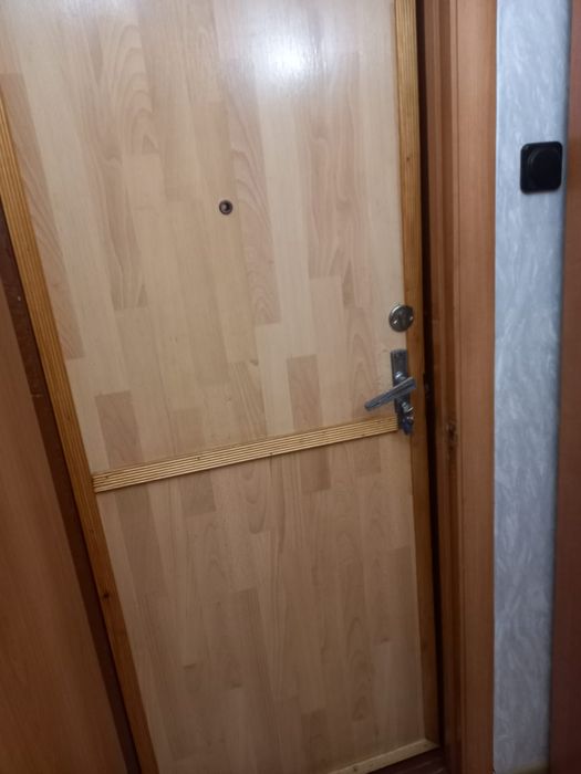 Входные двери железные
