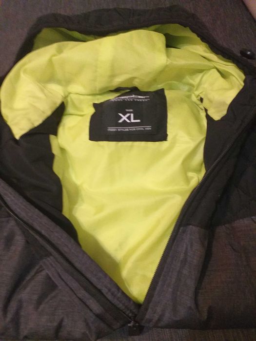 Vesta captusita (Chapter/Takko), XL