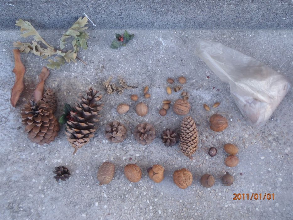 Декоративни шишарки, орехи, жълъди, кестени и САХАРСКИ пясък.