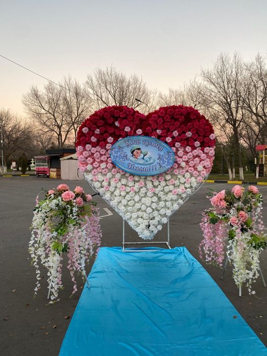 Құттықтау,оформление машина выпискаға журек