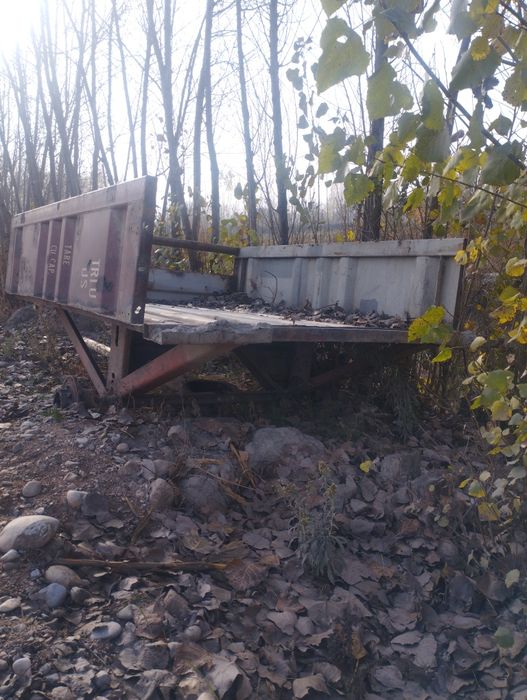 Gedra nasos ekiskavotor