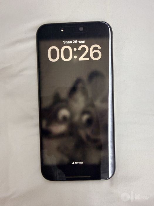 iphone 15pro Max 256