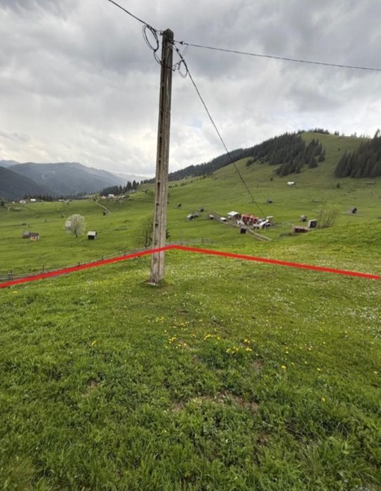 Teren Suceava - Carlibaba- Catun Pleta