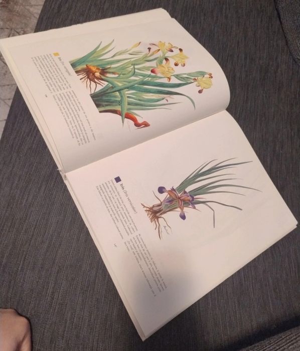 Enciclopedia plantelor