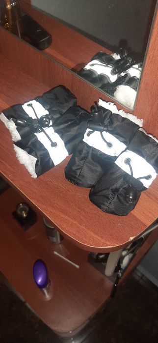 Обувь для животных