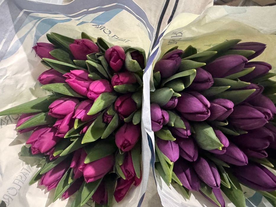 Тюльпаны оптом и в розницу