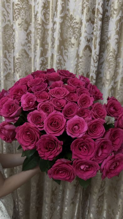 51 розы свежие продам