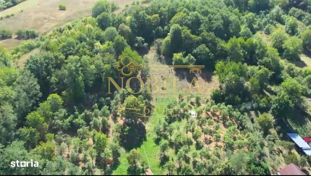 Teren intravilan + extravilan 10.537 mp – casa, livada sau ferma de fa