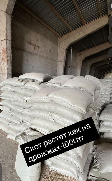 Отруби для скота 1000тг