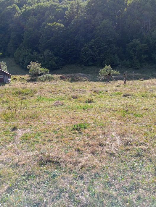 Vând teren intravilan,2392 m2