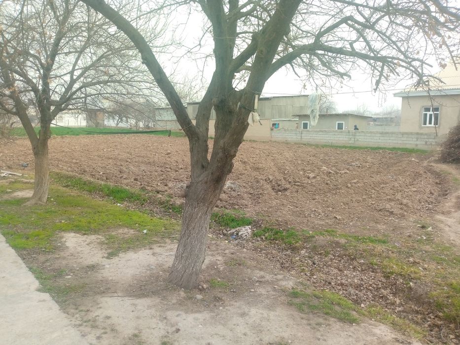 Денов туман хайработ чукучкишлок Ер сотилади сотиги 2500$дан 10сотих