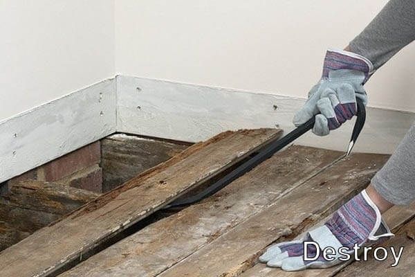 Демонтаж Недорого