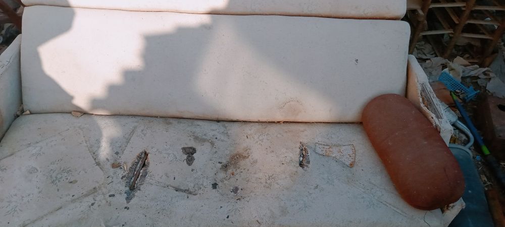 Отдам даром бесплатно