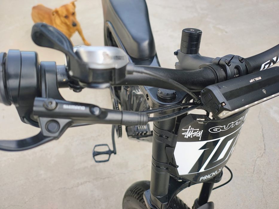 Bicicleta electrica ridstar q20