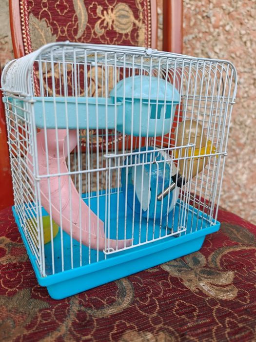 Клетка для Хомика