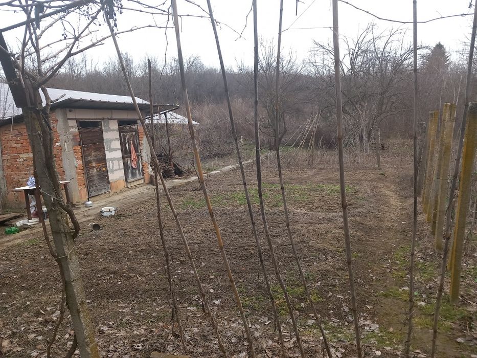 Продава се Къща в с. Бръшляница, Област Плевен - 120 кв.м за 102 €/кв.м - Снимка #7