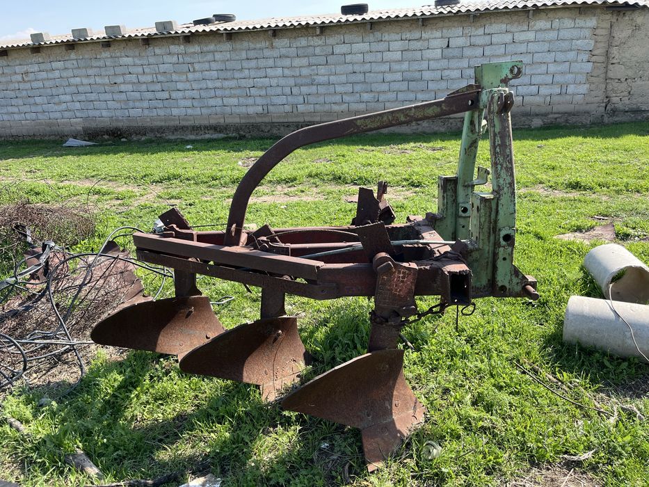 Соқа,Арыс қаласында тұр