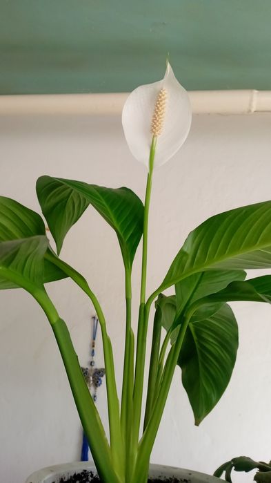 Уборка после ремонта