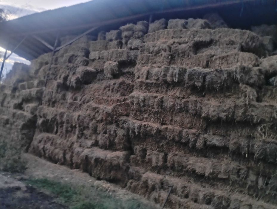 Vând baloți de fan