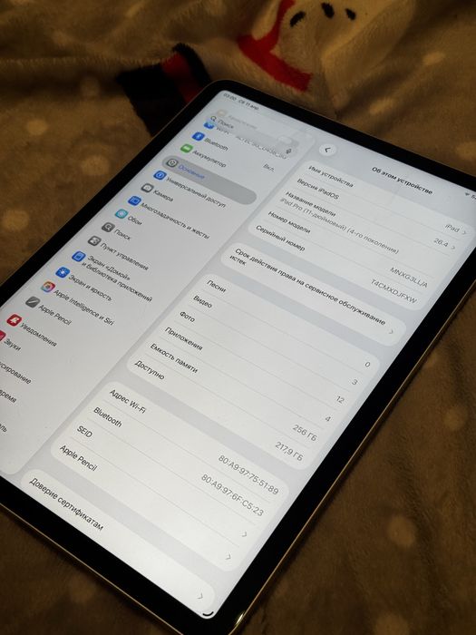 iPad Pro 10.5 256