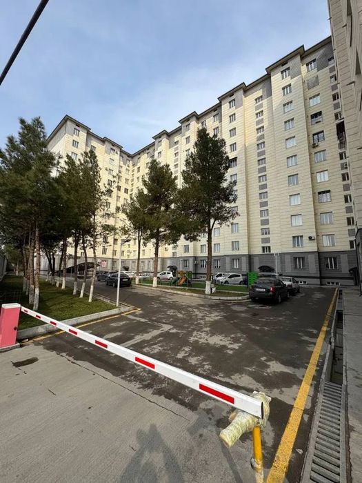 Срочно! Мирзо Улуғбек Қорасув 6