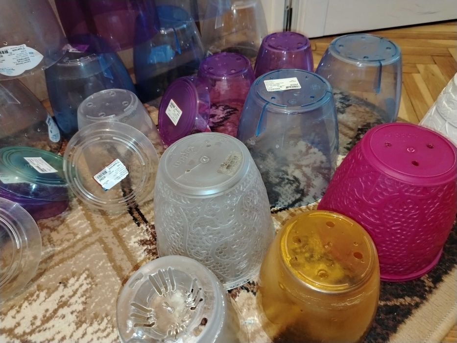 Саксии за орхидеи