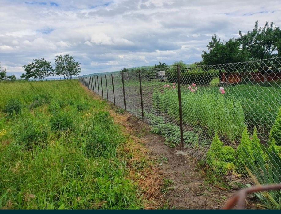 Imprejmuit teren, cosit, amenajari