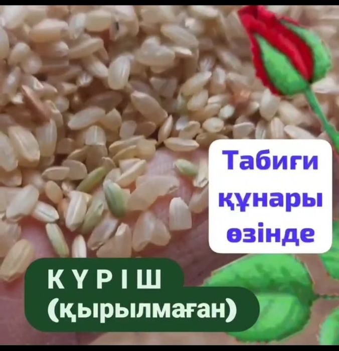 Шұңқыр Лена, барлық фотолар