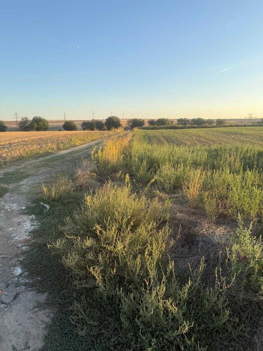 Teren intravilan 4.003 mp Frecatei, Tulcea - drum pe 3 laturi, curent