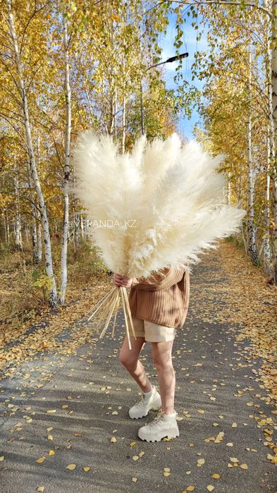 Пампасная трава / пампас