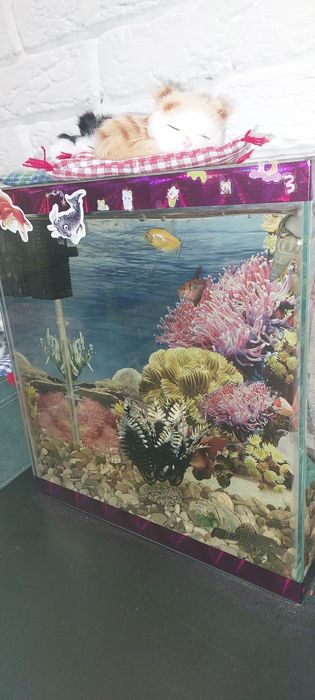 Продам аквариум полностью укомплектованный