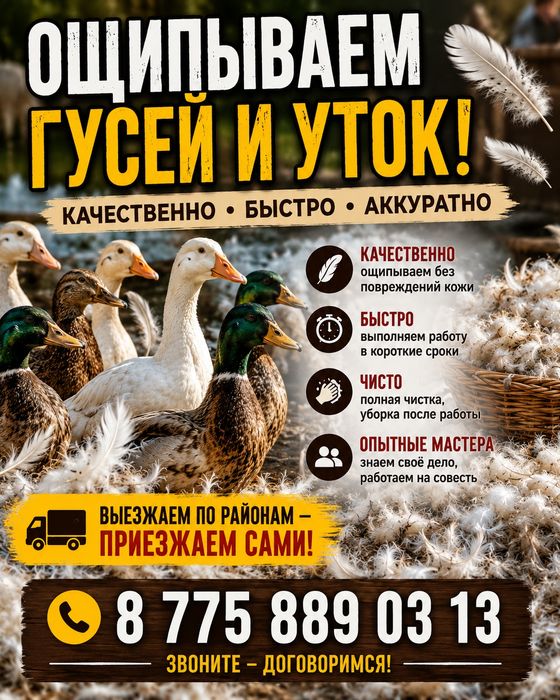 Обработка гусей ощип