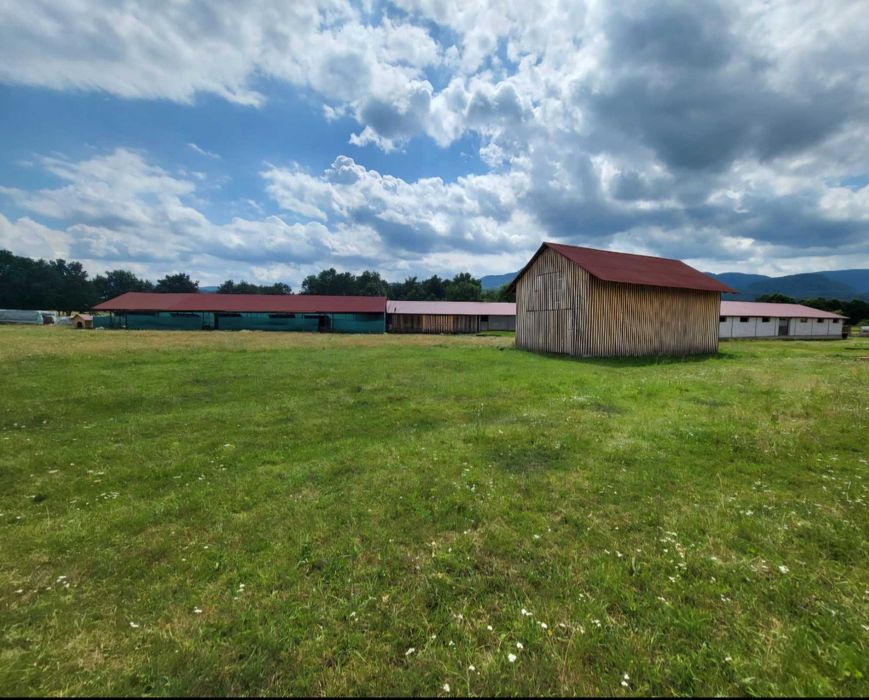 Vând Teren + Fermã+ Baltã de pește în Comuna Sãpânța județul Maramureș