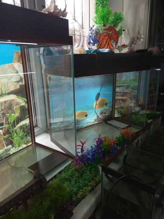 Аквариум100л  . Навои Торайгырова