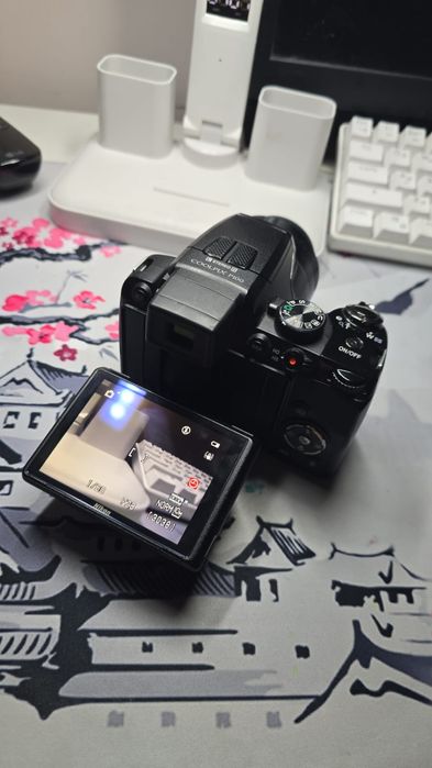 Nikon coolpix p100