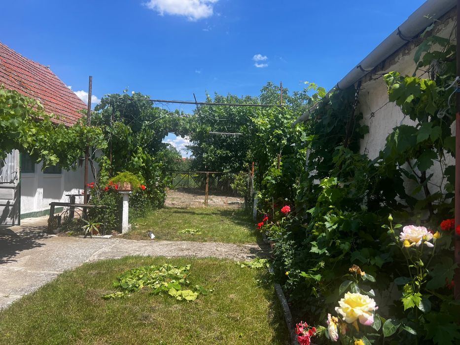 Casă de vânzare cu 2 parcele – Jamu Mare (70 km de Timisoara)