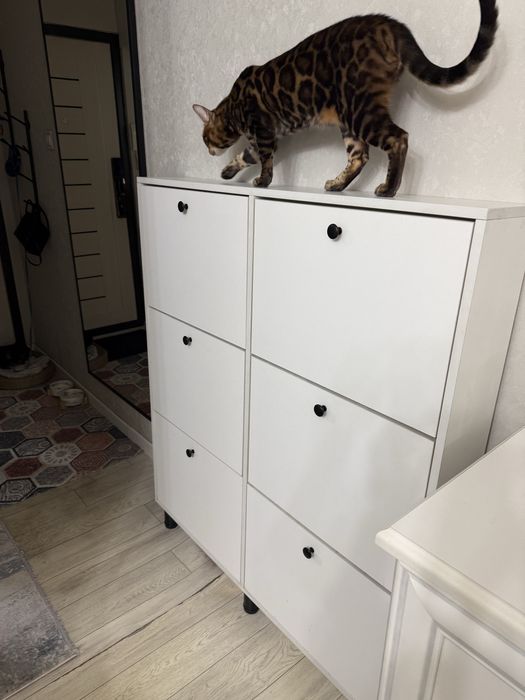 Продам обувницу и две полочки