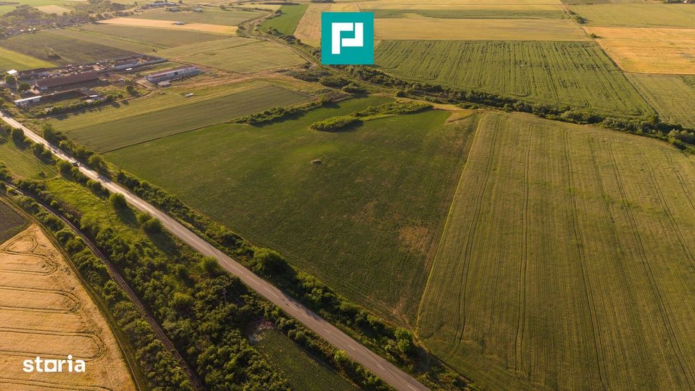 Teren Extravilan De 42.200 Mp Secusigiu