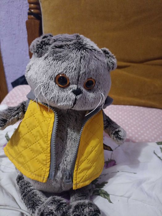 Басик в жёлтой жилетке