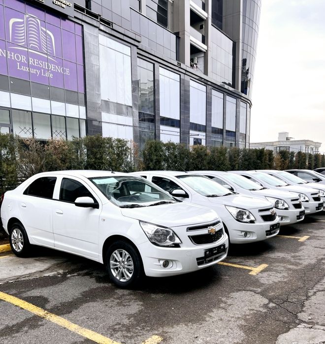 **Кобалт ок 25-2026 фул позиция.