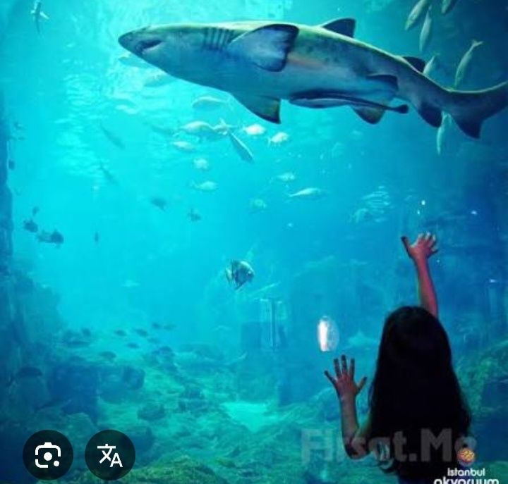 Акварим ремонт тозалаш хизмати