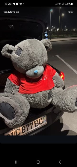 Teddi Тедди yumshoq oyinchiqlar