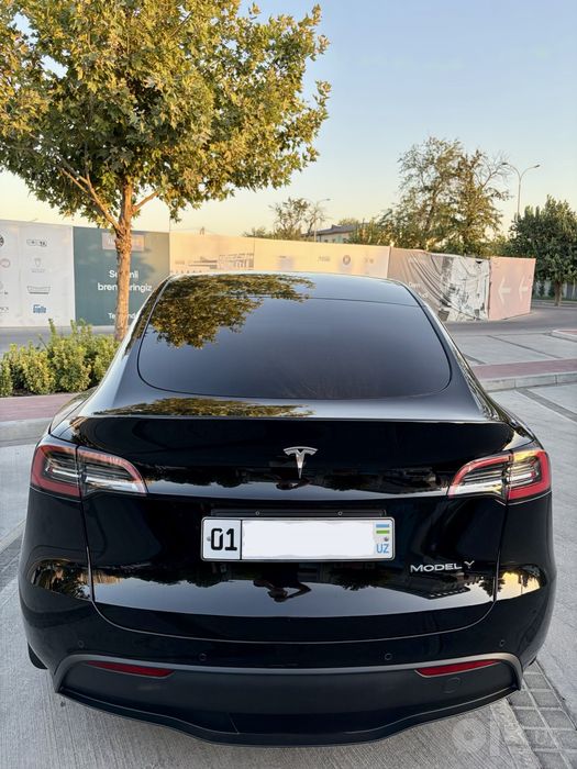 Tesla Y Base 2023, black/black с мастер аккаунтом