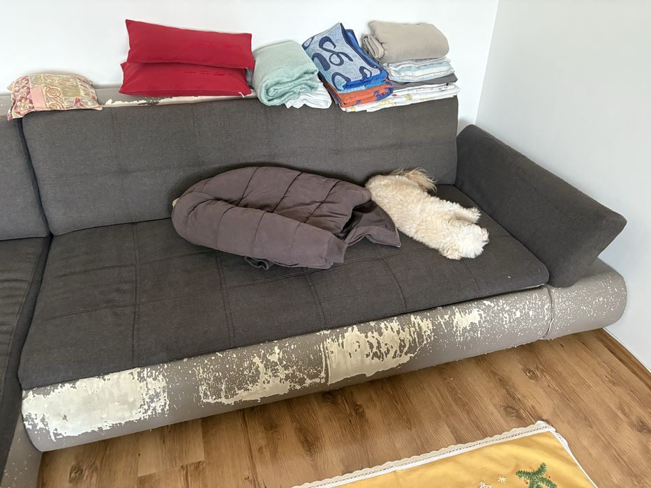 Donez Colțar. Urme de uzura de la pisici. Este zgariat !